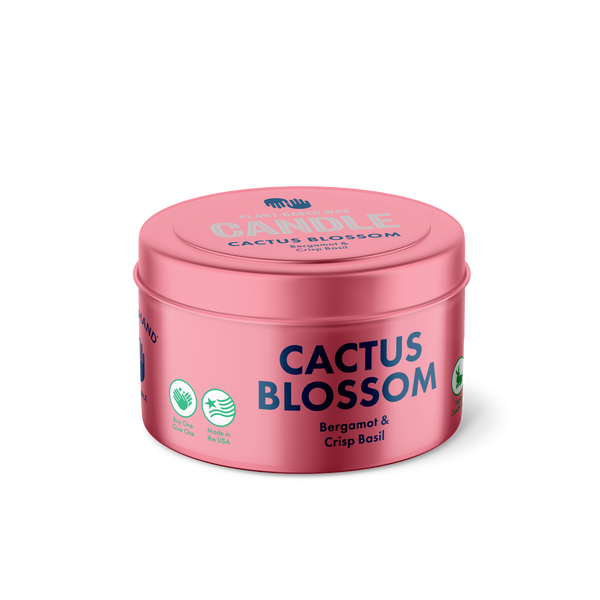 Cactus Blossom Candle – Hand in Hand Soap