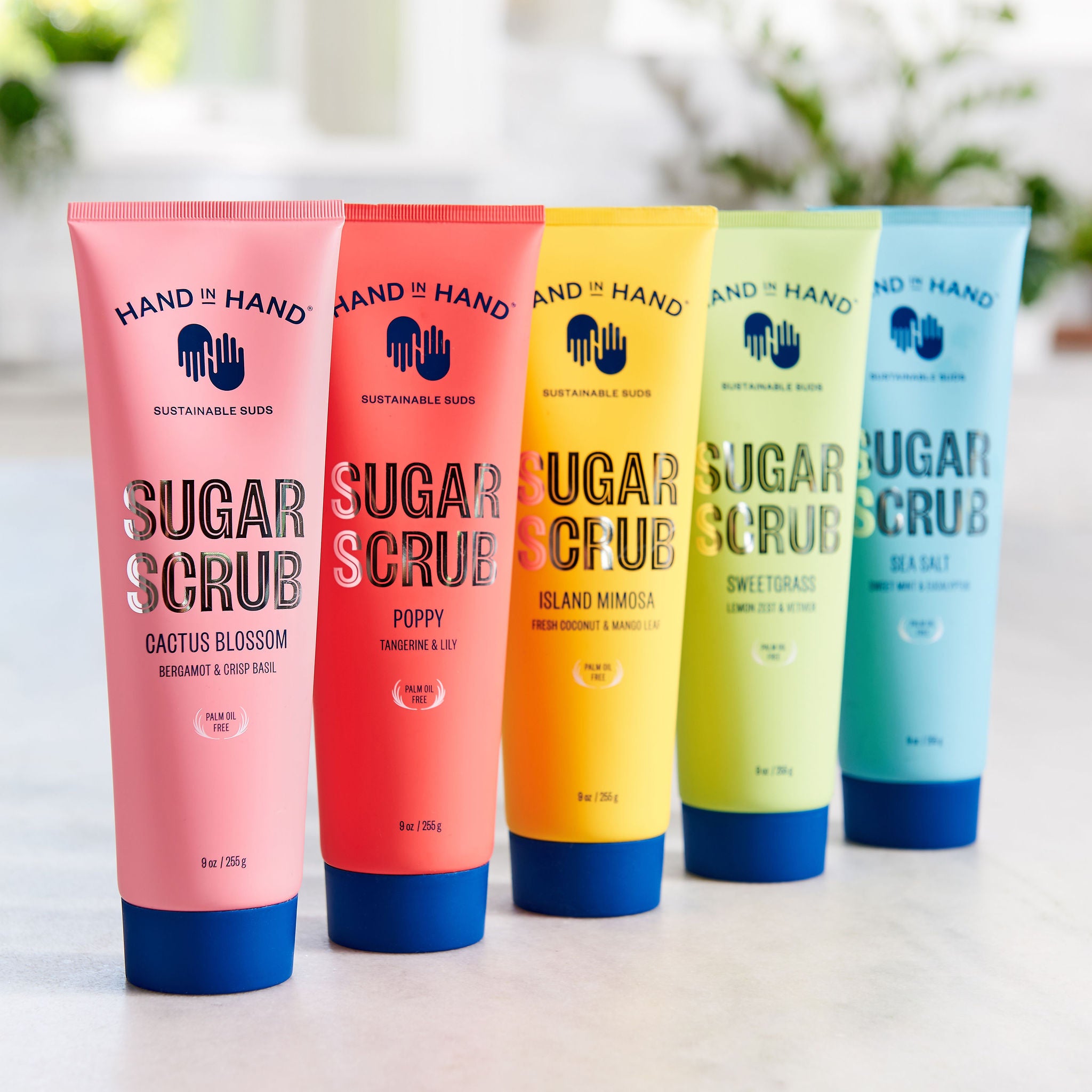 Island Mimosa Sugar Scrub Island Mimosa Sugar Scrub